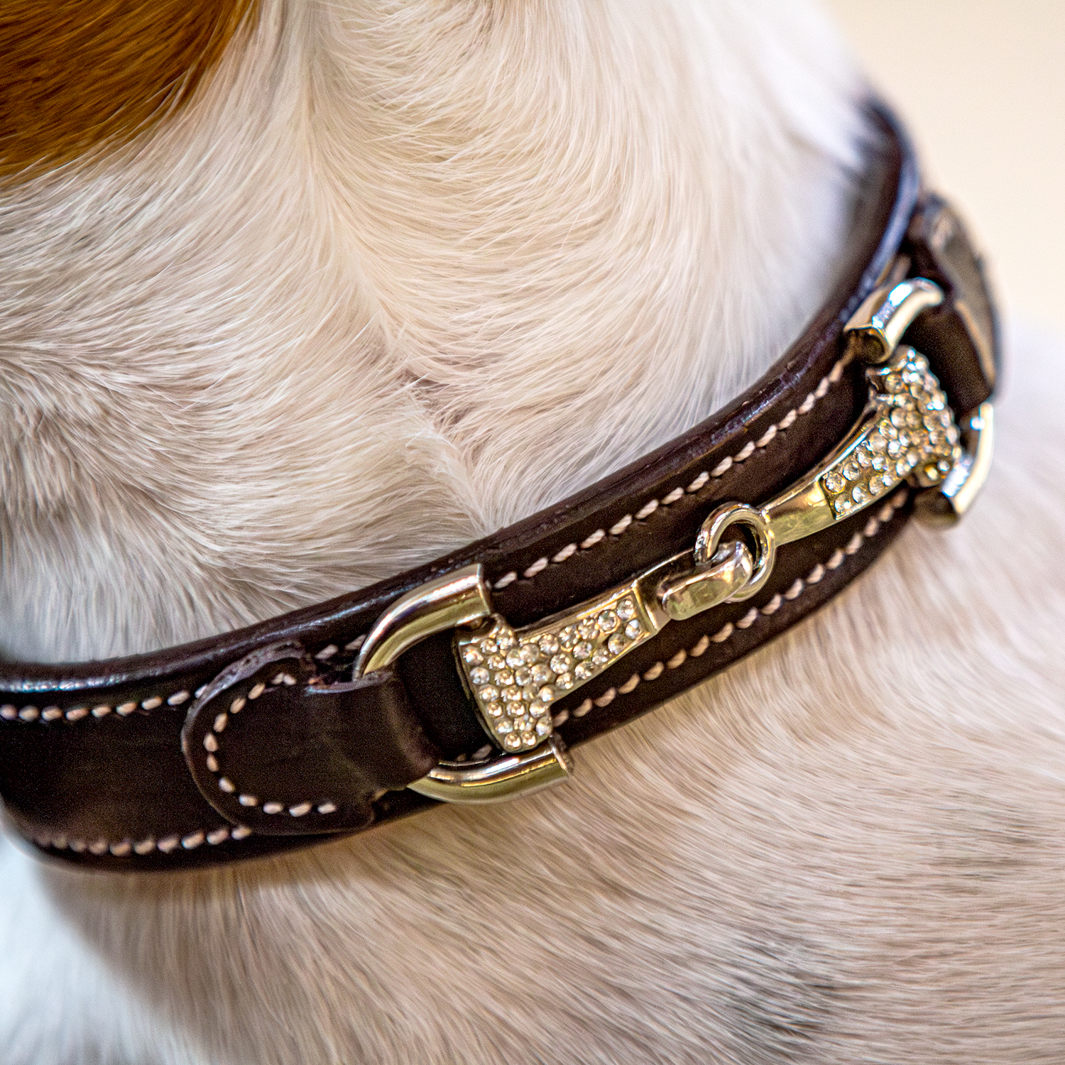 Dog Collar Connect S