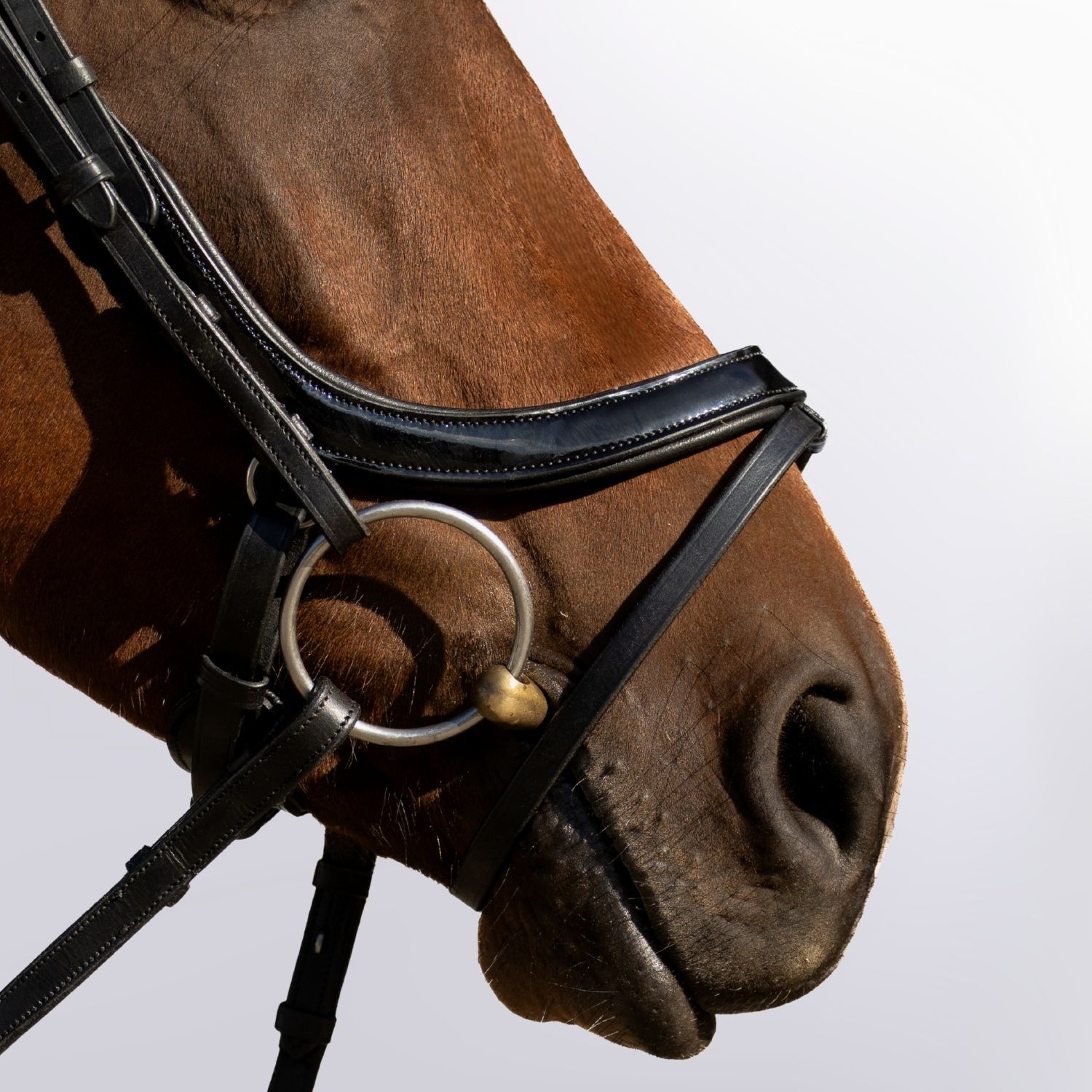 Noseband Freedom full black patnet