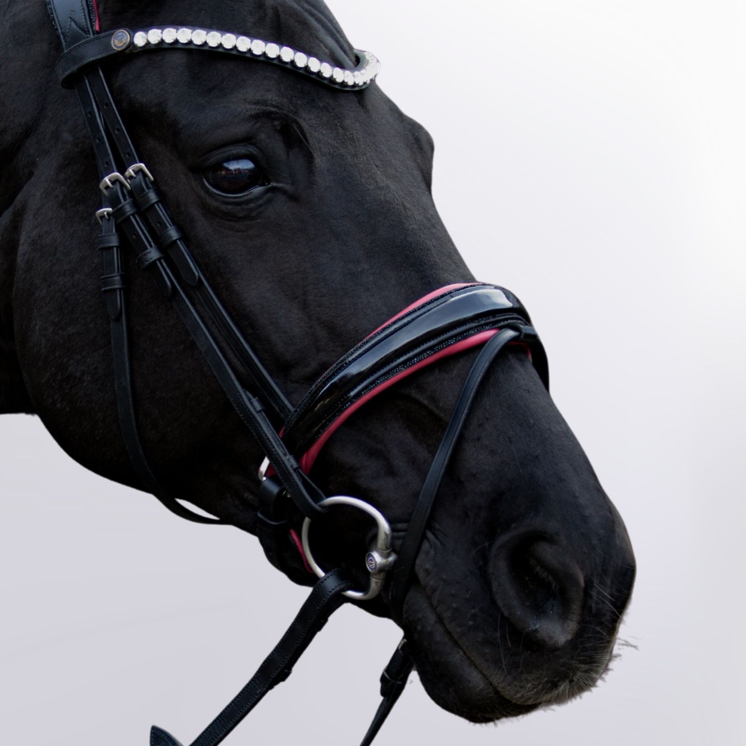 Noseband Uta Gräf