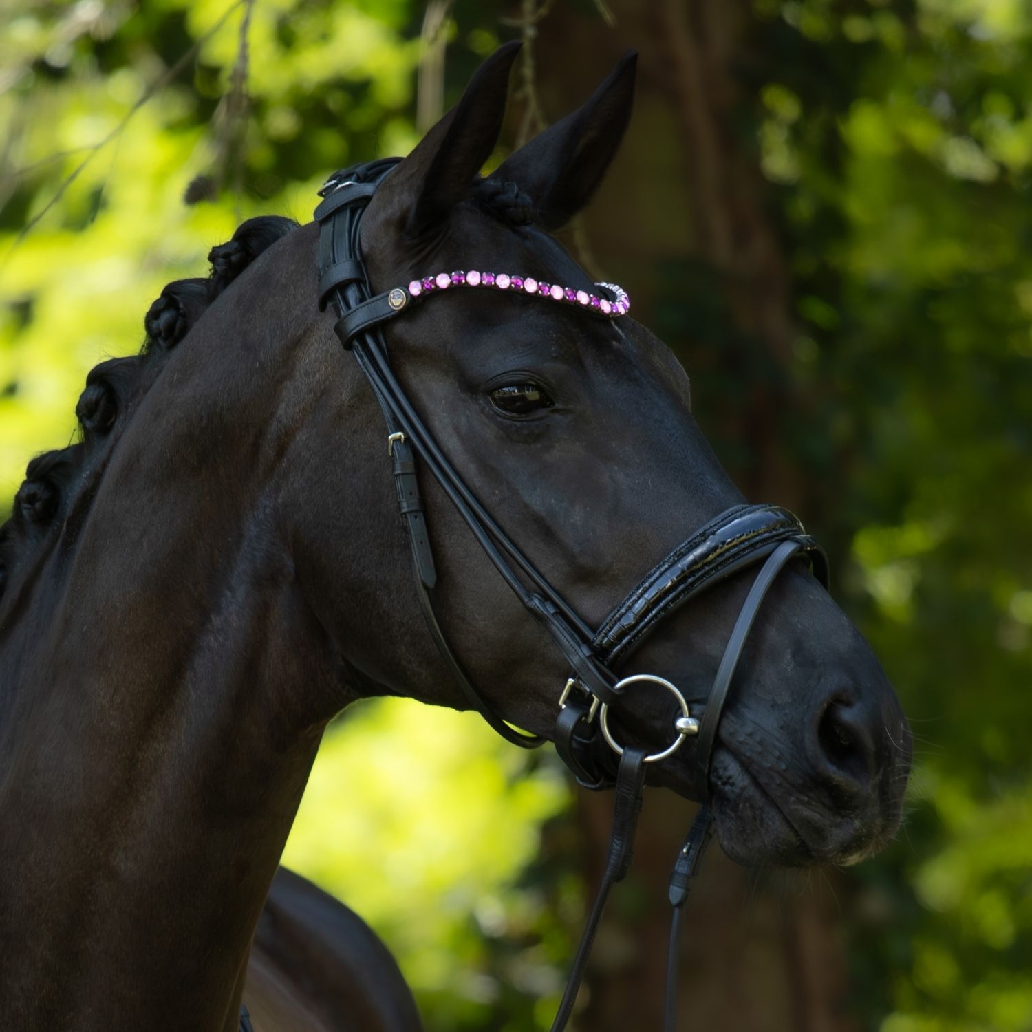BRIDLERY Stirnriemen Pink Dream am Pferd