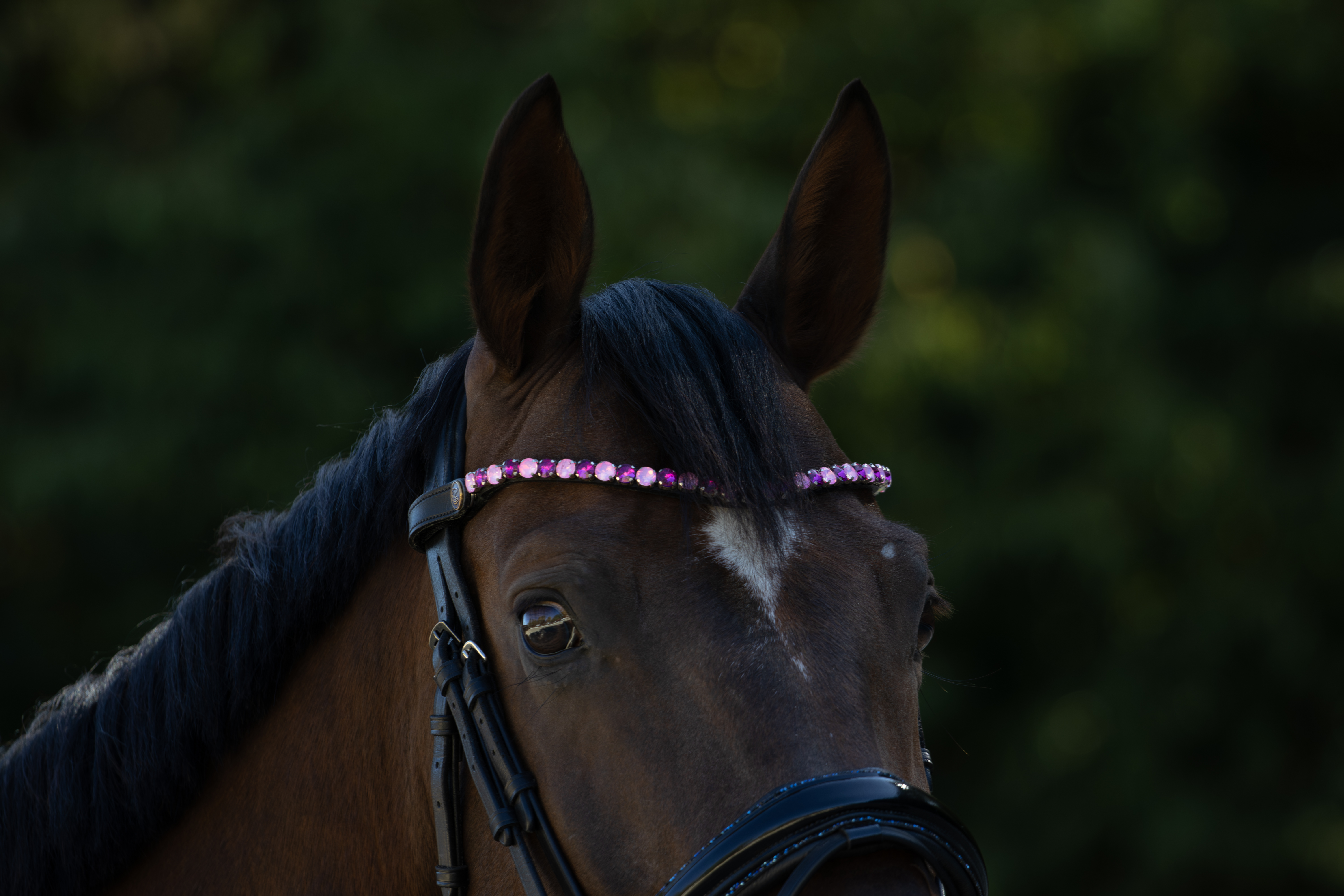 BRIDLERY Stirnriemen Pink Dream am Pferd
