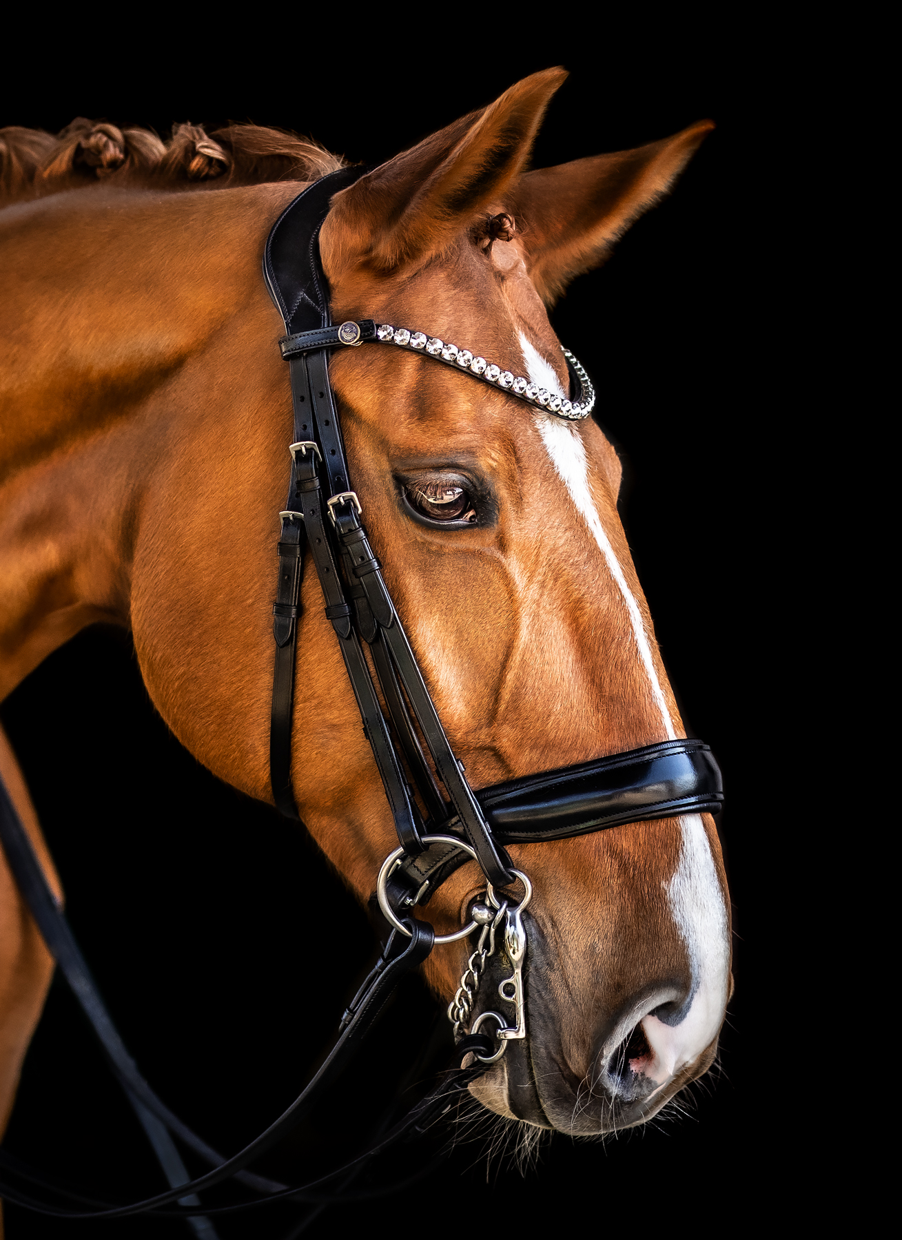 Double Bridle Charm X-Full