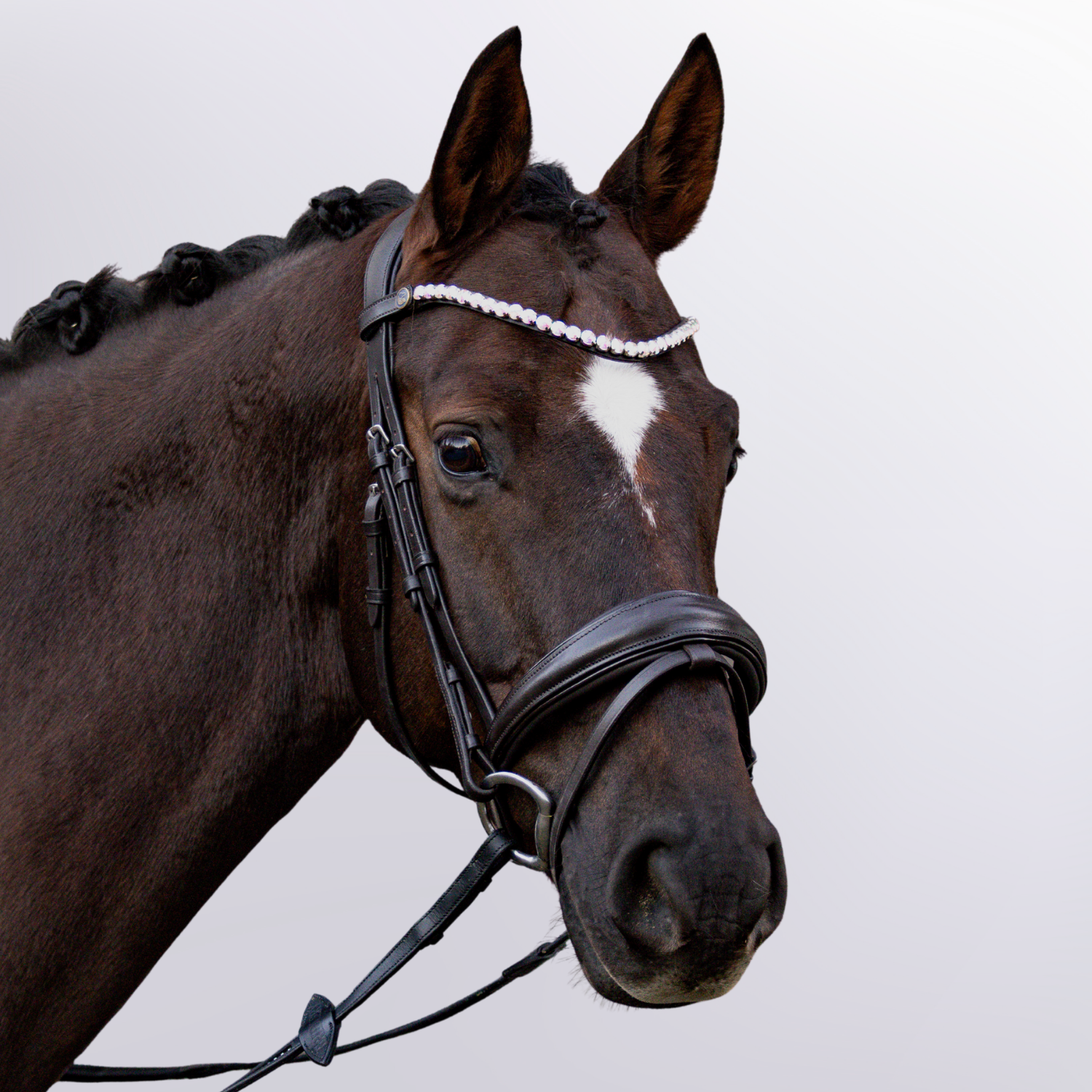 Bridle Uta Gräf