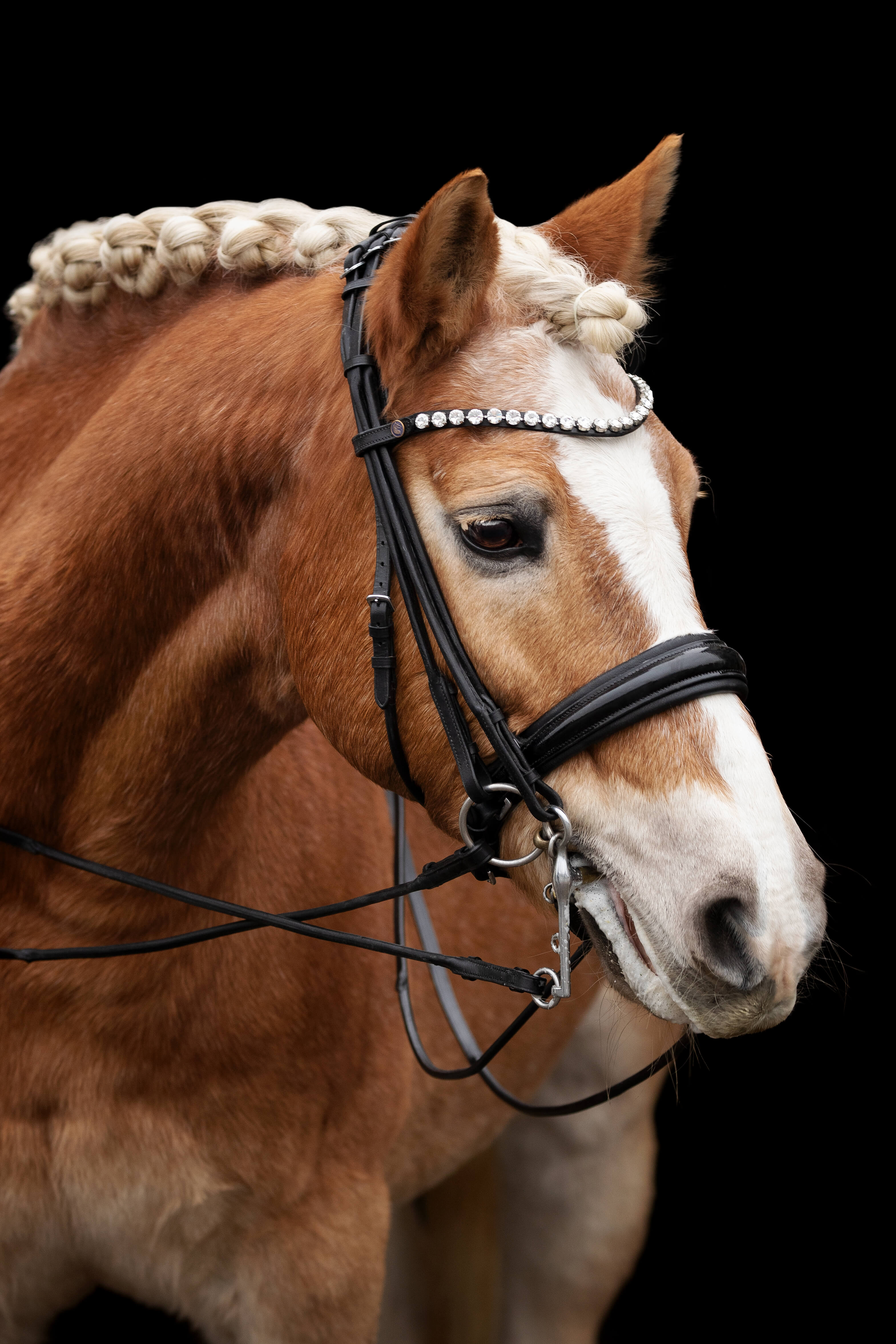 Double Bridle Classic Pony