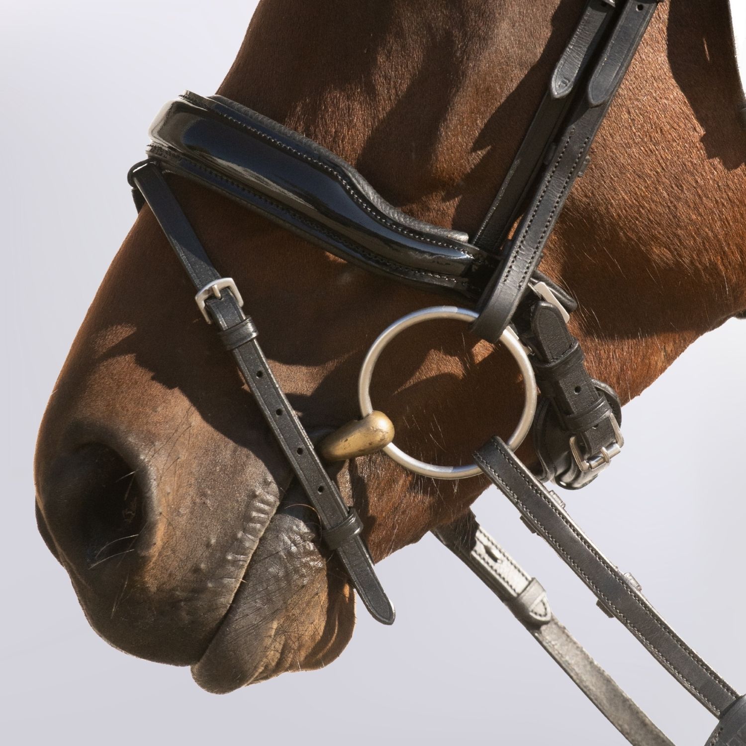 Noseband Lunea  Cob Patent