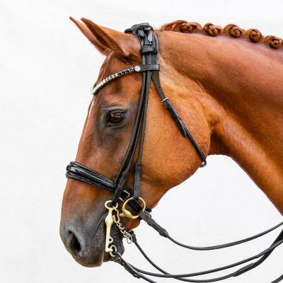 Double Bridle Classic