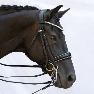 Double Bridle Charm