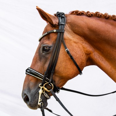 Double Bridle Velvet